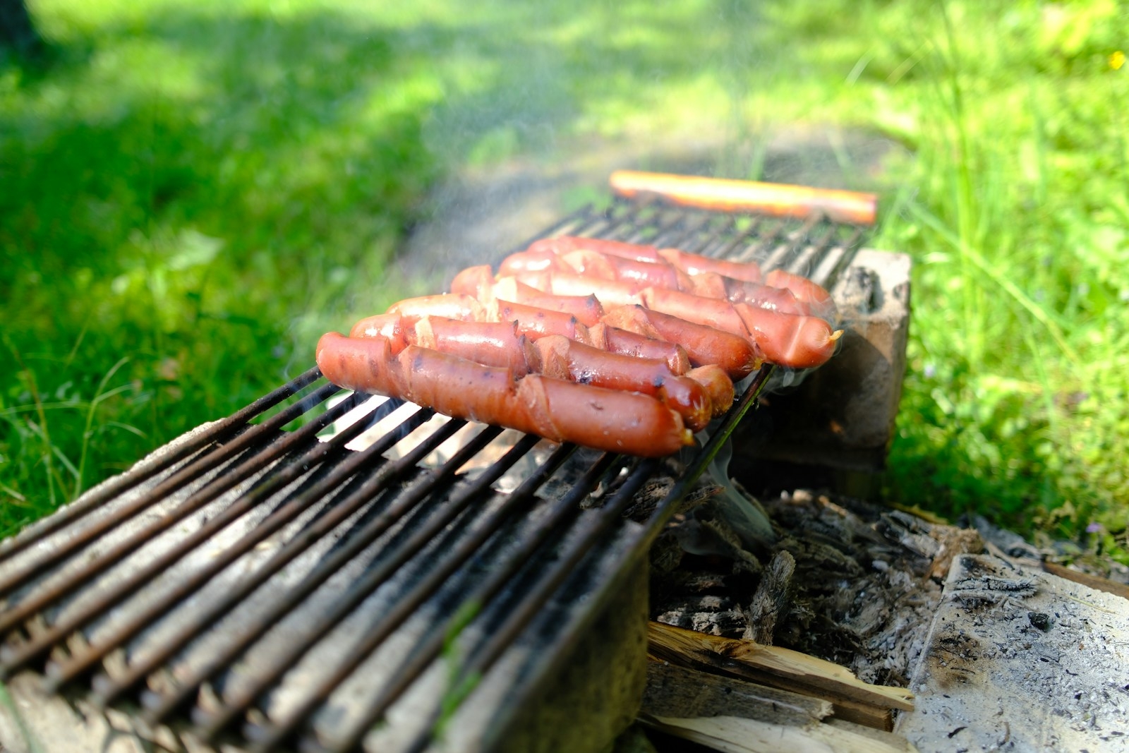 Hot dogs grilling over an open fire on green grass